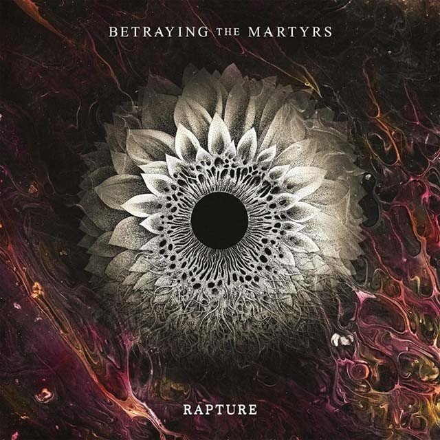 Album rapture