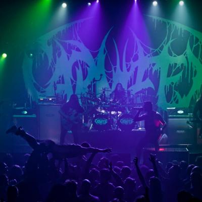 Carnifex couv