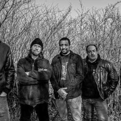 Dead tree seeds 2021