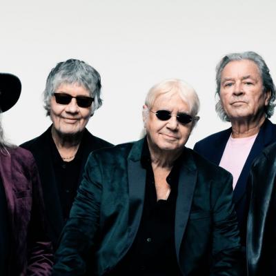 Deep purple 2024