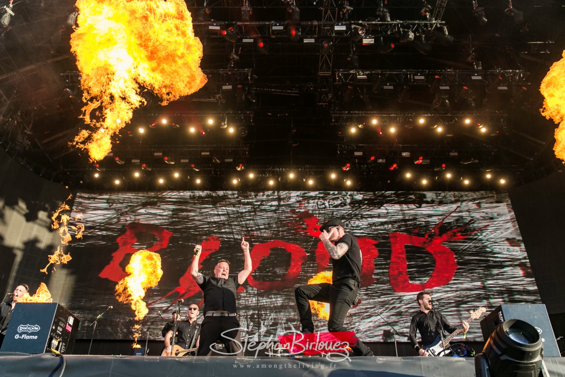 Dropkick murphys 0317 medium