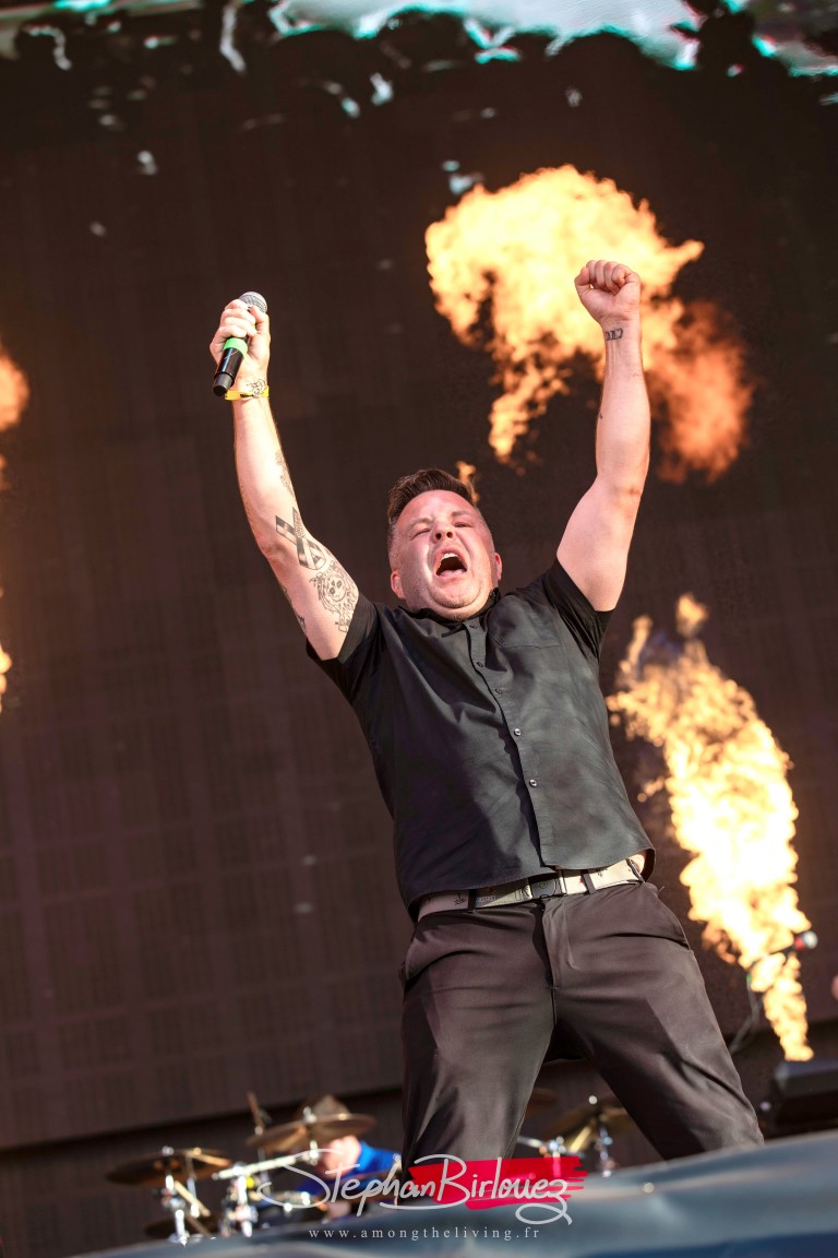 Dropkick murphys 17 medium