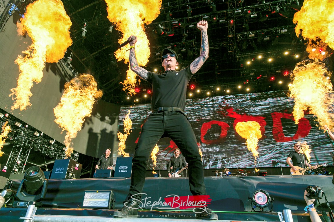 Dropkick murphys 2 medium