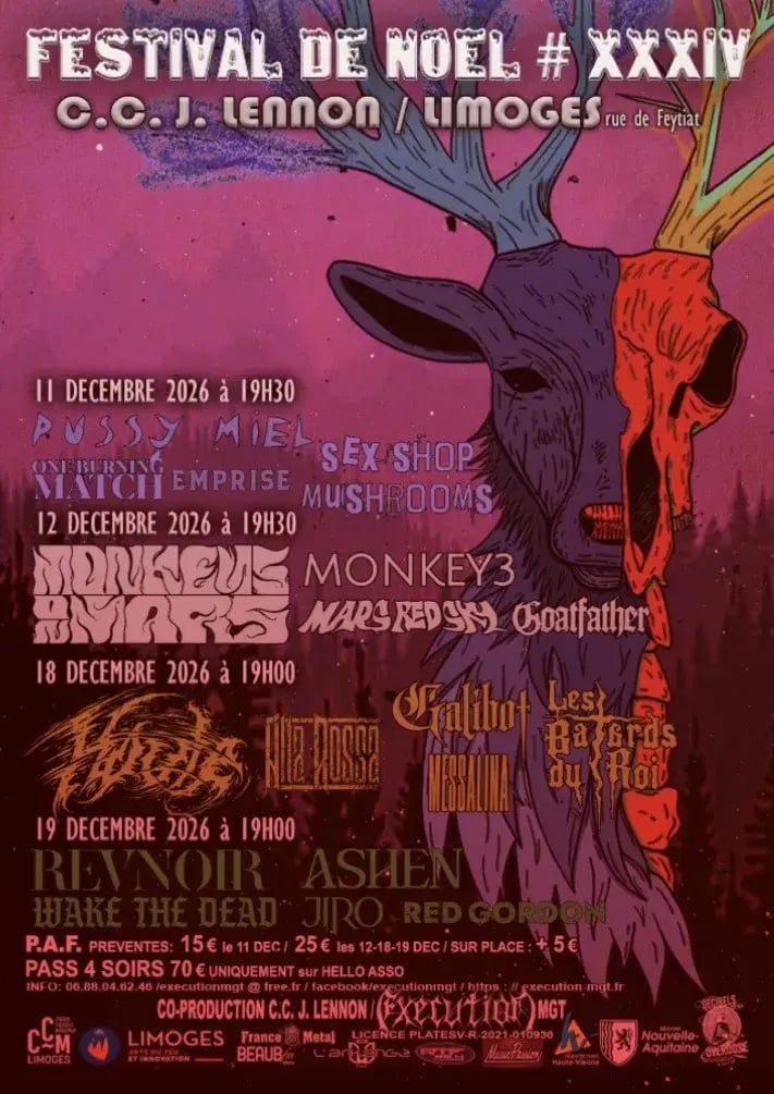 Festival de noel xxxiv