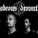 Un nouvel album pour HIDEOUS DIVINITY