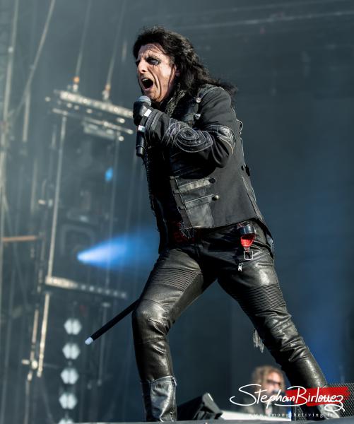 Hollywood vampires 1456