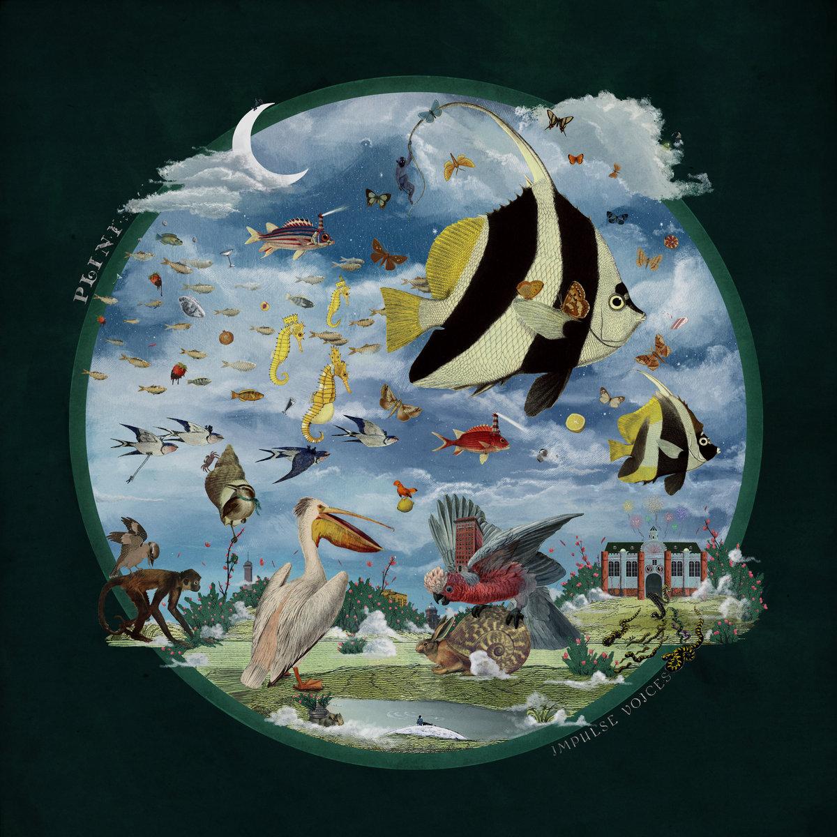 Impulse voices plini