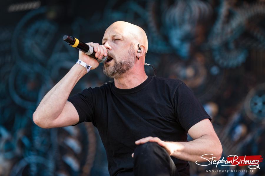 Meshuggah 1184