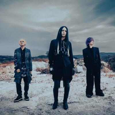 Mucc 2023