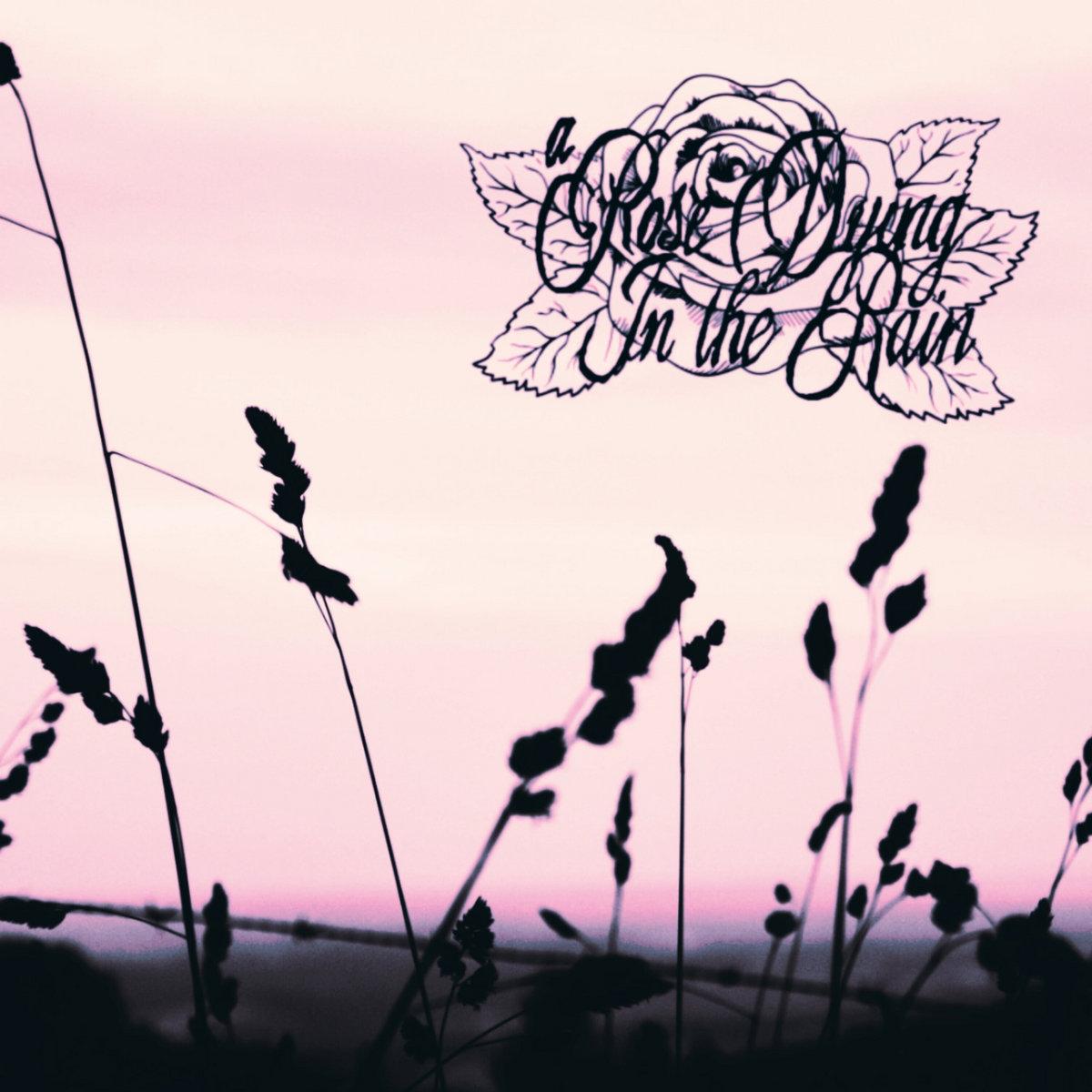 Por siempre tu arditr