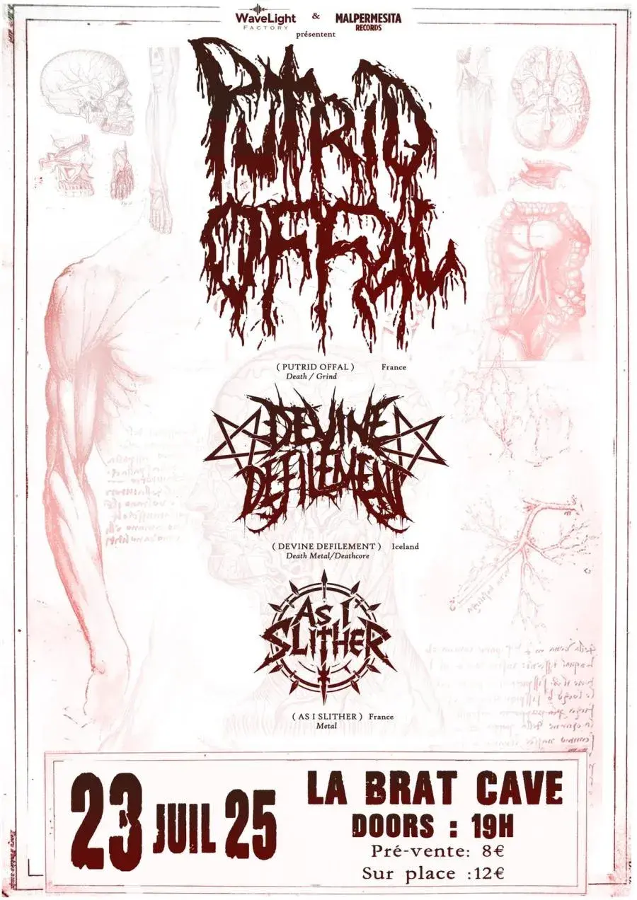 Putrid offal lille 2025