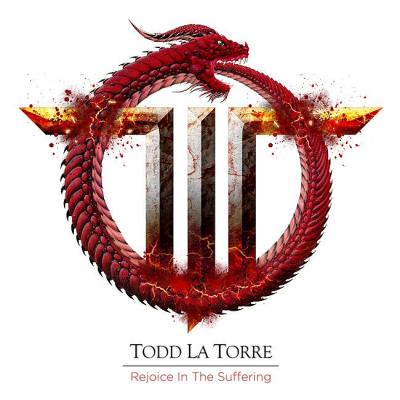 Rejoice in the suffering todd lt
