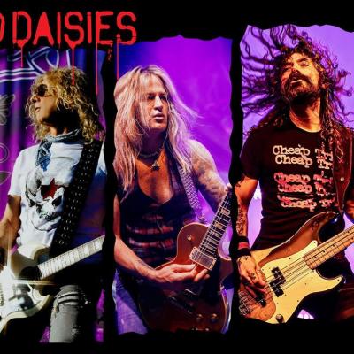 The dead daisies 2023